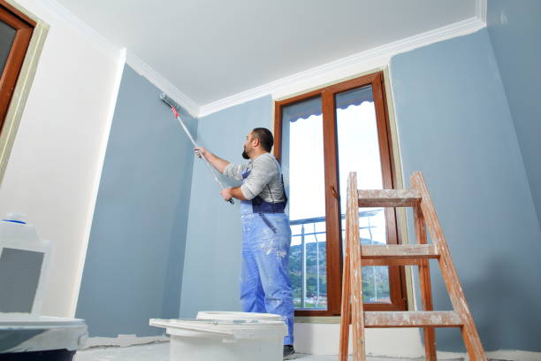 Best Fire-Damaged Drywall Repair  in Round Rock, TX