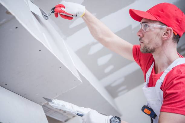 Best Trim and Molding Painting  in Round Rock, TX